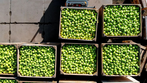 Harvest of apples, small loader, forklift truck, machine loads, puts large wooden boxes full of