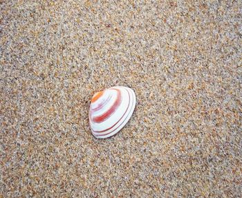 High angle view of sand on beach