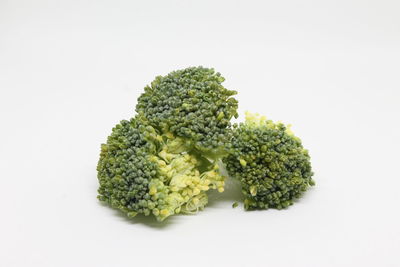 Close-up of food against white background