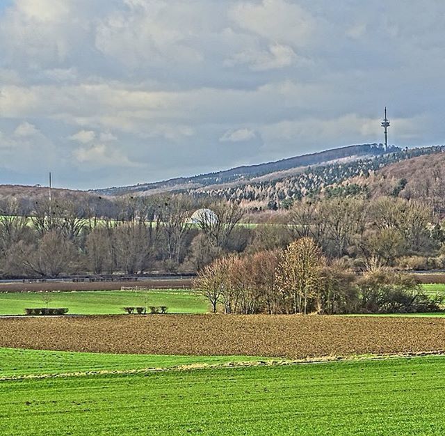 sky, landscape, field, grass, green color, tranquil scene, tranquility, agriculture, cloud - sky, rural scene, growth, scenics, tree, beauty in nature, nature, cloudy, cloud, farm, grassy, plant