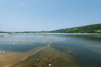 Scenic view of sea against clear blue sky