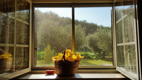 Flowers in basket on window sill at home