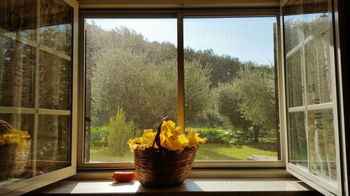 Close-up of glass window on table at home