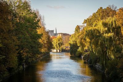 River amidst trees against sky