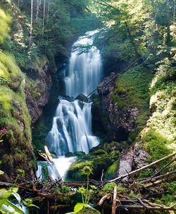 Scenic view of waterfall in forest