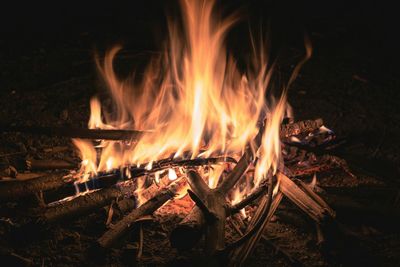 Close-up of bonfire at night