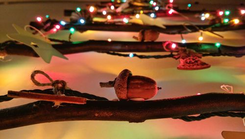 Close-up of christmas decoration