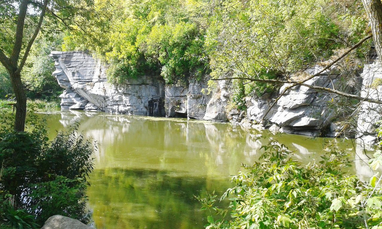 water, tree, reflection, nature, beauty in nature, tranquility, growth, scenics, tranquil scene, forest, green color, plant, waterfront, rock - object, waterfall, lake, river, pond, flowing water, stream