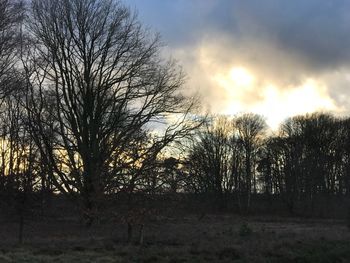 Bare trees on landscape against sky at sunset