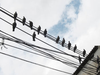 Low angle view of pigeons perching on wires against sky