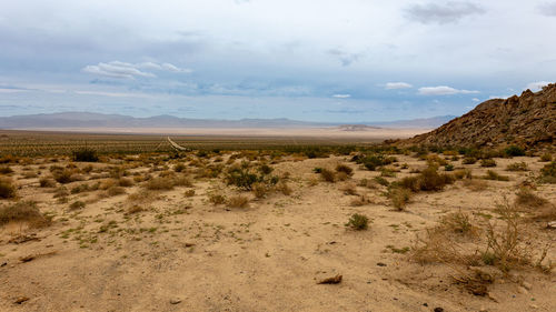 The desert in southern california, dry yellow brown sand, close to the mojave national preserve.