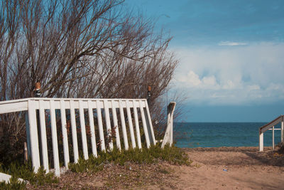 Fence-sea-beach-tree-sky-clouds