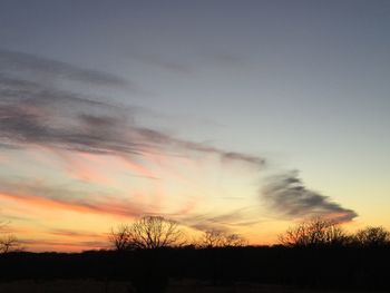 Silhouette trees against sky during sunset