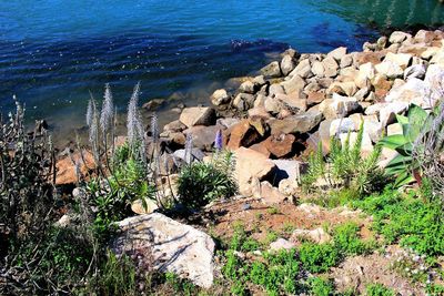 High angle view of rocks by sea