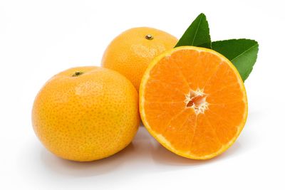 Close-up of orange fruit against white background