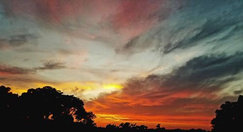 Low angle view of silhouette trees against dramatic sky