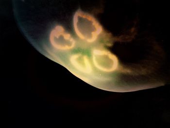 Low angle view of moon in the dark