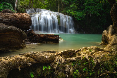 Scenic view of waterfall in forest