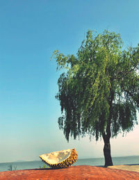 Tree by sea against clear blue sky