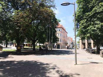 Empty road amidst trees and buildings in city