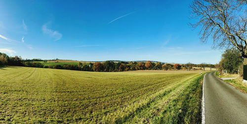 Scenic view of agricultural field against sky