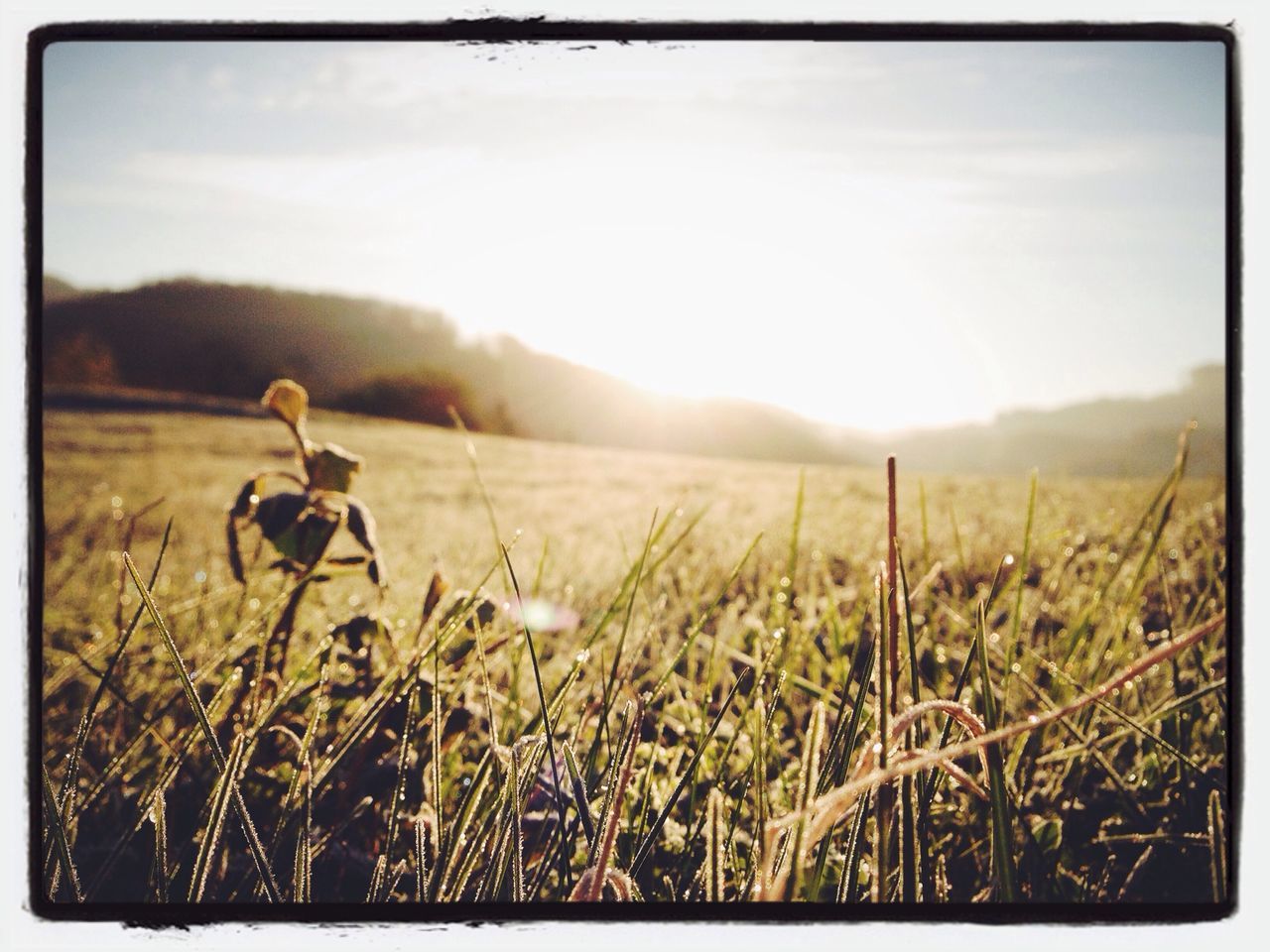 transfer print, field, landscape, grass, sky, plant, tranquil scene, tranquility, auto post production filter, nature, growth, beauty in nature, scenics, mountain, grassy, sunlight, sun, sunset, focus on foreground, outdoors