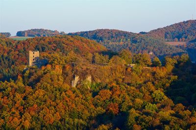 Scenic view of trees during autumn against sky