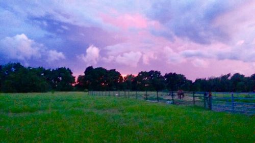 Scenic view of grassy field against cloudy sky