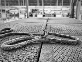 Close-up of rope on street