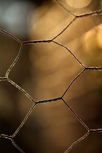 Close-up of barbed wire against sky
