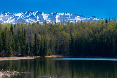 Scenic view of lake by trees against sky