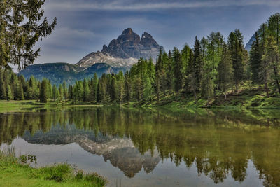 Scenic view of lake by trees against sky