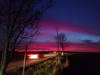 Bare trees on road at sunset