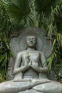 Statue of buddha