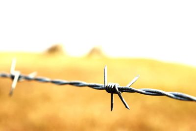 Close-up of barbed wire fence