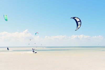 Person paragliding at beach against sky