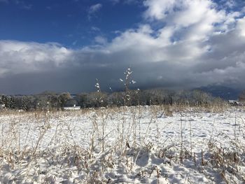 Frozen field against sky during winter