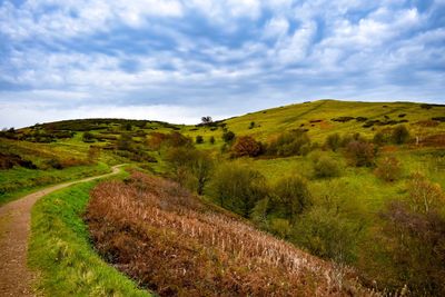 Scenic view of field against sky