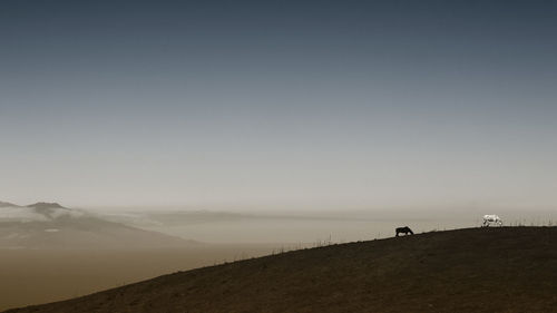 Man on sand dune in desert against sky