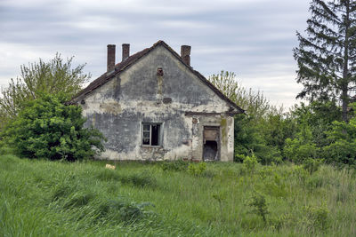 Abandoned house on field against sky