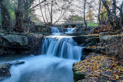 View of waterfall in forest