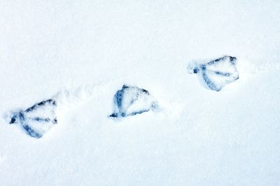 High angle view of snow covered field