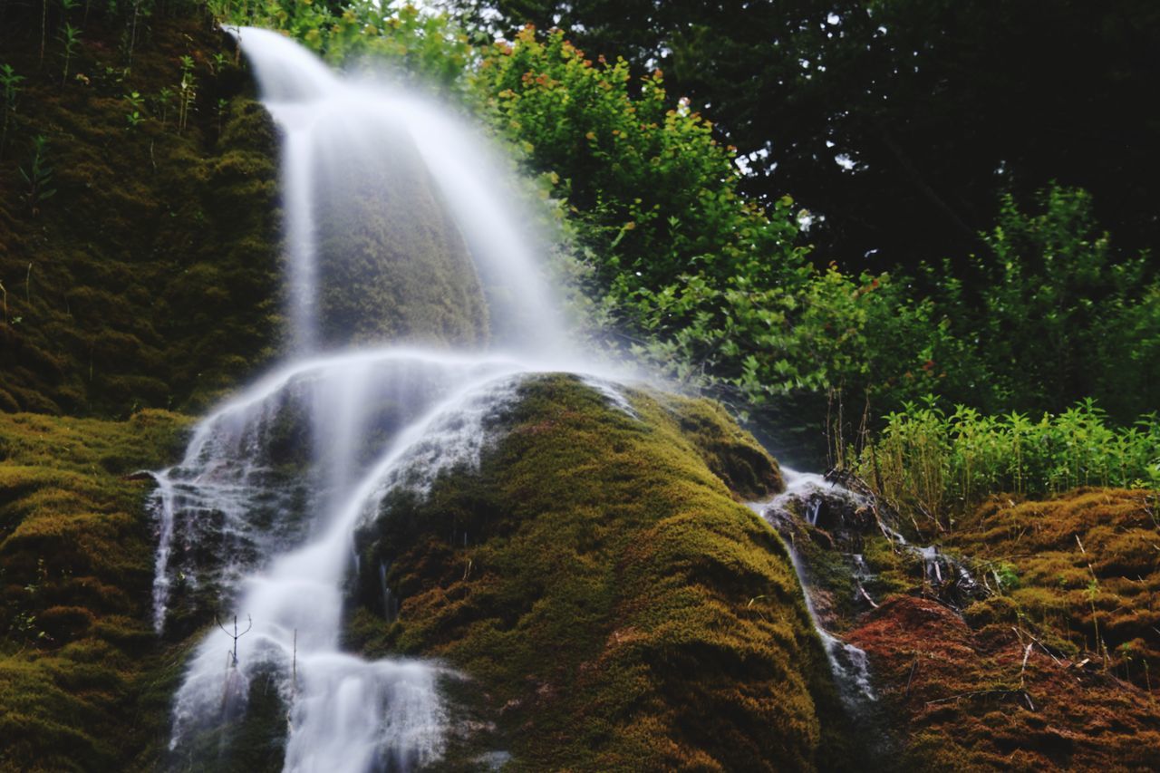 waterfall, water, motion, scenics - nature, flowing water, long exposure, rock, beauty in nature, rock - object, forest, plant, tree, solid, nature, no people, land, blurred motion, environment, day, flowing, power in nature, outdoors, falling water, stream - flowing water, rainforest