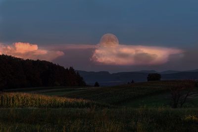 Scenic view of field against sky during sunset