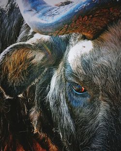 Double exposure image of water