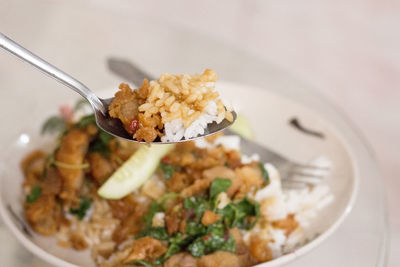 Close-up of cooked rice in spoon