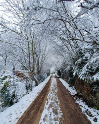 Snow covered road amidst trees