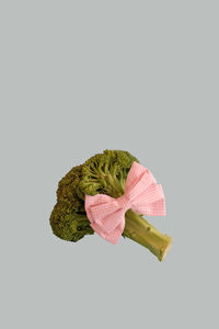 High angle view of leaf over white background