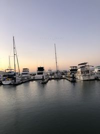 Sailboats moored in harbor at sunset