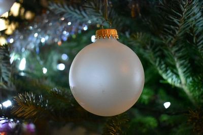 Close-up of christmas decoration hanging on tree